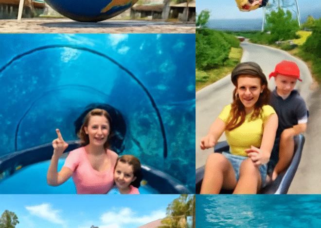 Adventure Awaits at Sentosa: Unveiling the Best Attractions